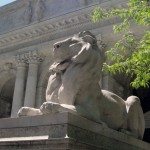 New_York_Public_Library_Lion_May_2011-1024×613